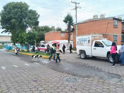 Por denuncias ciudadanas, Centro Veterinario Antirrábico capturò a perros en Tepetitla imagen 3