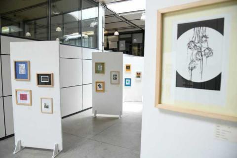 Anuncia Secretaría de Cultura a ganadores de los premios de Artes Visuales 2025 imagen 1