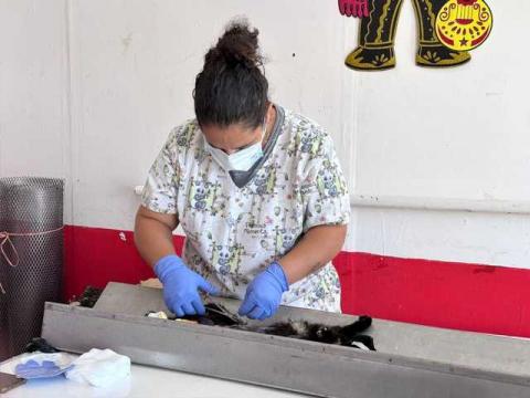 Caravana de salud y servicios beneficia a más de 50 personas en el Barrio De La Preciosa imagen 1