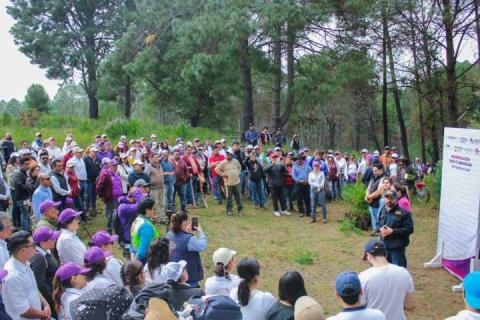 Reforestan en Chiautempan zona incendiada de la Malinche imagen 3