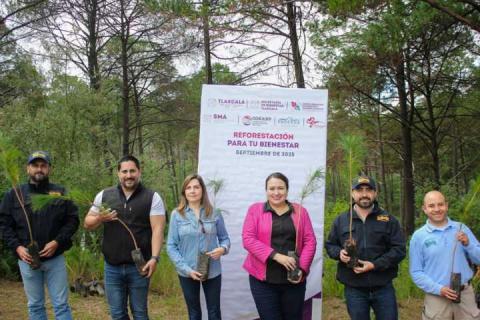 Reforestan en Chiautempan zona incendiada de la Malinche imagen 2