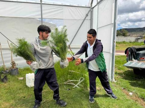 Tlaxco se llena de vida y conciencia ambiental imagen 2