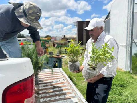 Tlaxco se llena de vida y conciencia ambiental imagen 1