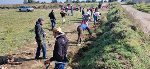 Carlos Augusto Pérez Hernández encabeza reforestación con ejidatarios de San Luis Huamantla imagen 3