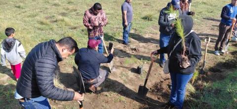 Carlos Augusto Pérez Hernández encabeza reforestación con ejidatarios de San Luis Huamantla imagen 1