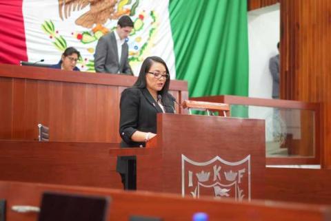 “Reforma a la Ley de Amparo representa un retroceso en la protección de los derechos humanos”: diputada Laura Flores Lozano imagen 4
