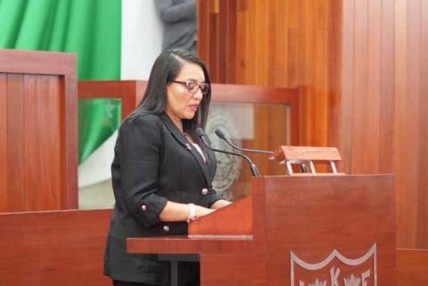 “Reforma a la Ley de Amparo representa un retroceso en la protección de los derechos humanos”: diputada Laura Flores Lozano imagen 1