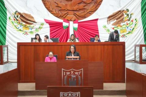 “Reforma a la Ley de Amparo representa un retroceso en la protección de los derechos humanos”: diputada Laura Flores Lozano imagen 6