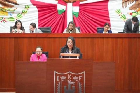 “Reforma a la Ley de Amparo representa un retroceso en la protección de los derechos humanos”: diputada Laura Flores Lozano imagen 5