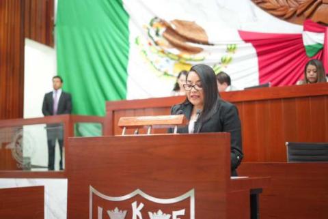 “Reforma a la Ley de Amparo representa un retroceso en la protección de los derechos humanos”: diputada Laura Flores Lozano imagen 3