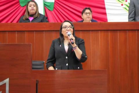 “Reforma a la Ley de Amparo representa un retroceso en la protección de los derechos humanos”: diputada Laura Flores Lozano imagen 2