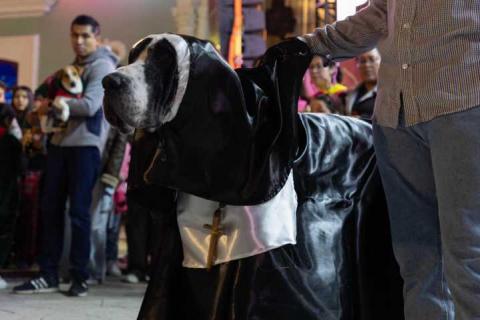 Concluye con gran éxito el festival “Vida Huamantla” 2025 imagen 3