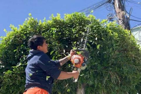 Ayuntamiento de Tlaxcala mejora la seguridad en Ocotlán e Ixtulco con la rehabilitación de luminarias imagen 5