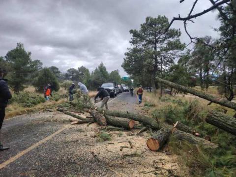 Atiende Protección Civil estatal incidentes, y emite recomendaciones ante fuertes vientos en Tlaxcala imagen 3
