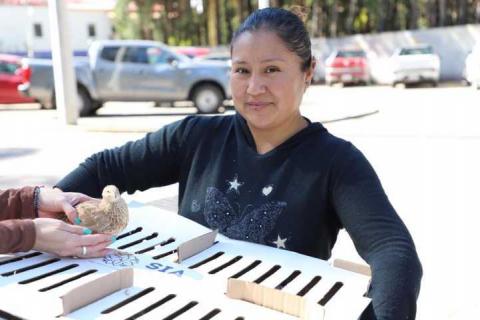 Gobierno del estado entrega 458 paquetes agropecurios para fortalecer economía familiar en 17 municipios imagen 2