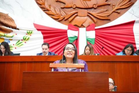 Diputada Laura Flores condena violencia política de Noroña, contra Grecia Quiroz imagen 7