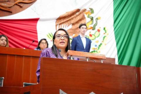 Diputada Laura Flores condena violencia política de Noroña, contra Grecia Quiroz imagen 3