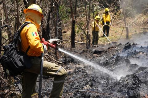 Incendio en Villa Estela movilizó corporaciones estatales y federales
