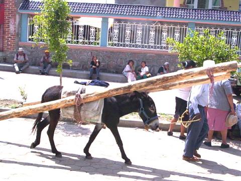 San Isidro Buensuceso, pueblo de madera que sufre la cero tolerancia oficial imagen 4