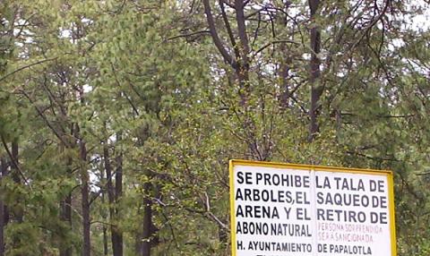 San Isidro Buensuceso, pueblo de madera que sufre la cero tolerancia oficial imagen 5