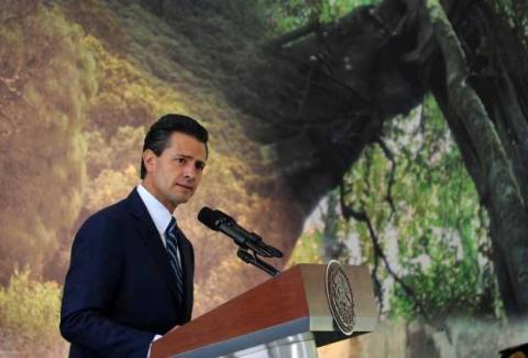 Impulsa Peña Nieto política ambiental de calidad