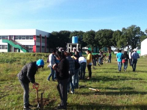 Realiza Uptlax jornada de reforestación universitaria