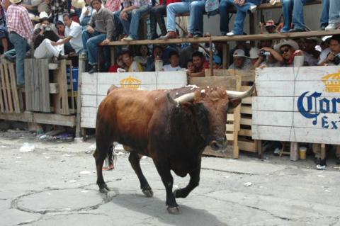Huamantla Pueblo Mágico y su Huamantlada imagen 9