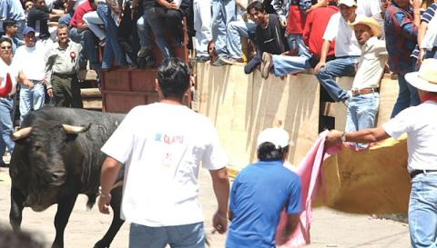 Saldo blanco preliminar en la Huamantlada imagen 6