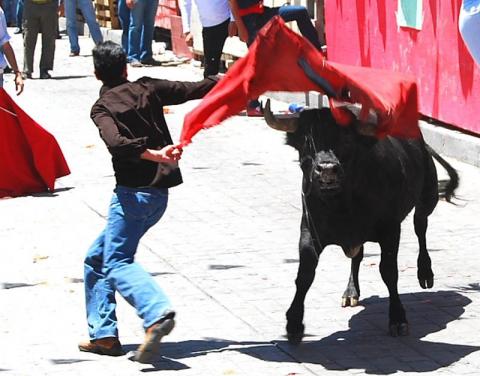 Saldo blanco preliminar en la Huamantlada imagen 8
