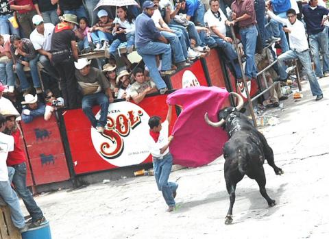 Saldo blanco preliminar en la Huamantlada imagen 9