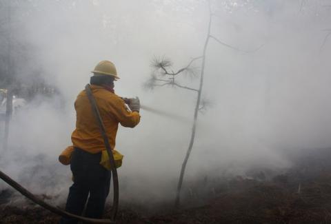 Registró Tlaxcala 295 incendios forestales