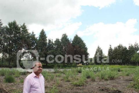 El pantano de carrizo hace la función de una planta tratadora de aguas residuales: JECT imagen 3