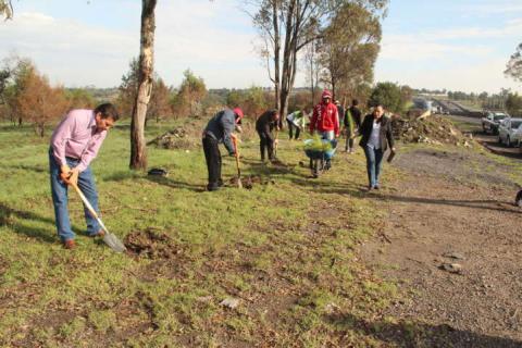 Alcalde inicia jornada de reforestación en terrenos del municipio imagen 2