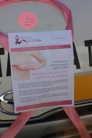 Utilizamos el transporte para sensibilizar a la mujer sobre el cáncer: Rosa Serrano imagen 2