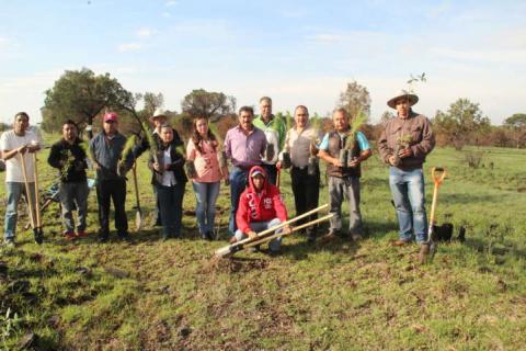Alcalde inicia jornada de reforestación en terrenos del municipio imagen 1