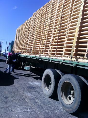 Clausuran cinco aserraderos y aseguran 2 mil 891 m3 de madera ilegal en Tlaxcala imagen 4