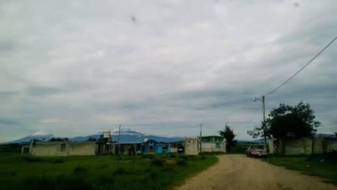 Hallazgo de plantío de amapola causa sorpresa en habitantes de Santa Cruz Tenancingo imagen 5