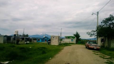 Hallazgo de plantío de amapola causa sorpresa en habitantes de Santa Cruz Tenancingo imagen 3