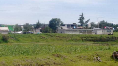 Hallazgo de plantío de amapola causa sorpresa en habitantes de Santa Cruz Tenancingo imagen 1
