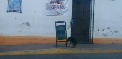 Detractores de Ixtenco roban armamento