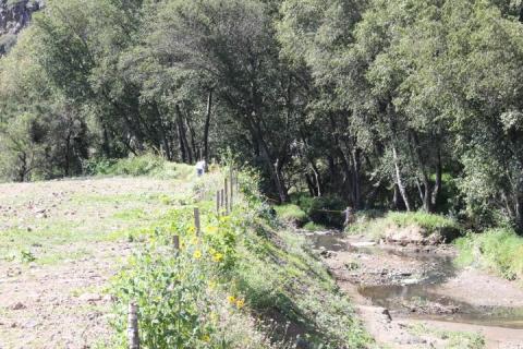 Ayuntamiento realiza gestiones para recupera las Cascadas de Atlihuetzian imagen 1