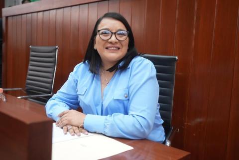 Pide diputada Laura Flores comparecencia de Perea Marrufo ante la creciente ola de viol#ncia