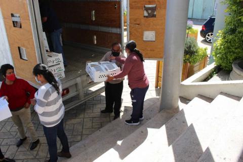 127 familias de Tepetitla de Lardizábal recibieron aves de traspatio imagen 3