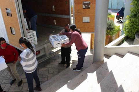 127 familias de Tepetitla de Lardizábal recibieron aves de traspatio imagen 2