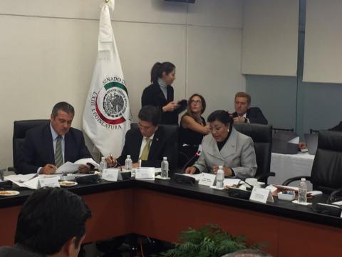 Cuestiona MPG reducción a presupuesto educativo en el Senado imagen 3