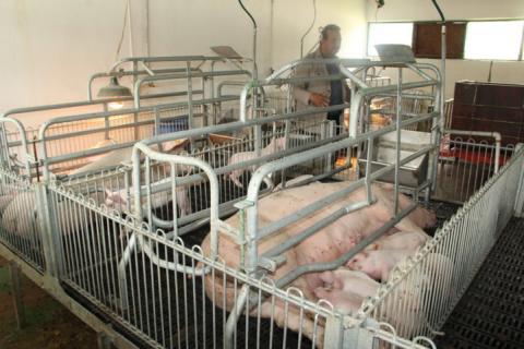 A 37 años el CBTA 134 de Tetlanohcan es sinónimo de desarrollo para Tlaxcala: LLC imagen 2