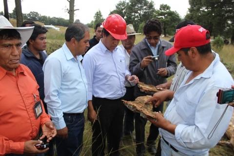 Ecología de Chiautempan ataca la plaga del gusano descortezador imagen 1