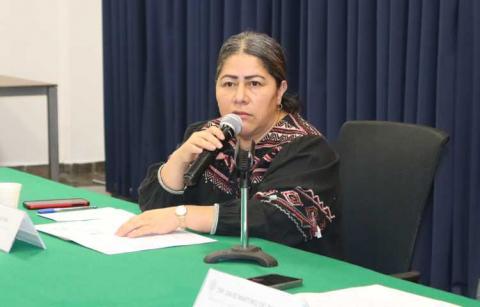 Blanca Águila cuestiona posible desaparición del INAI; ofrece respaldo para reforzar el DAI y la PDP en conjunto con el IAIP imagen 2