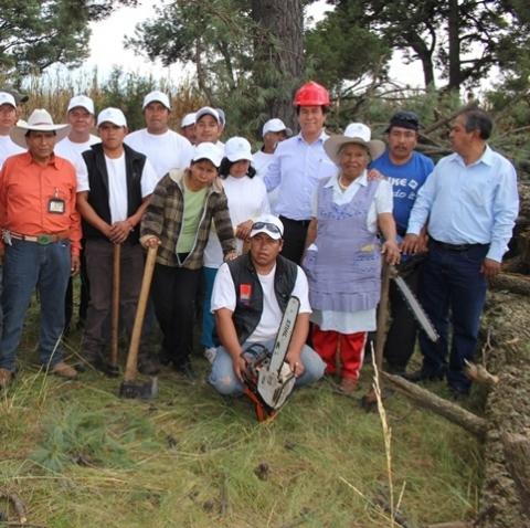 Ecología de Chiautempan ataca la plaga del gusano descortezador imagen 2