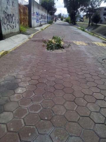 Denuncian severo hundimiento en Zacatelco imagen 3